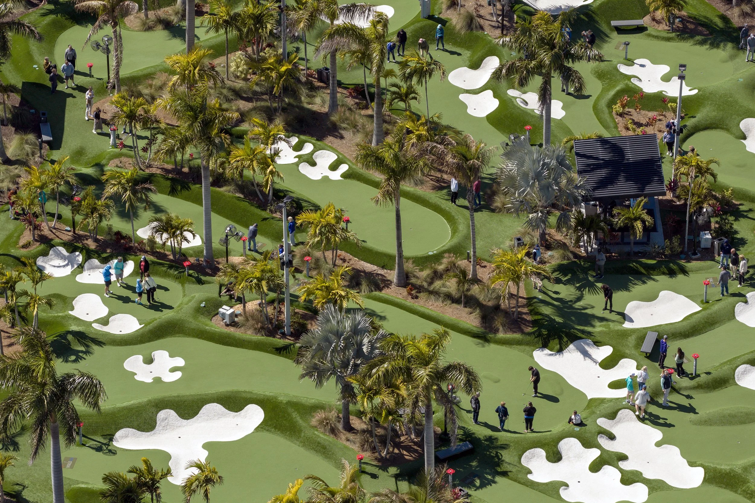 DJI_20260223135722_0710_D copy.jpg