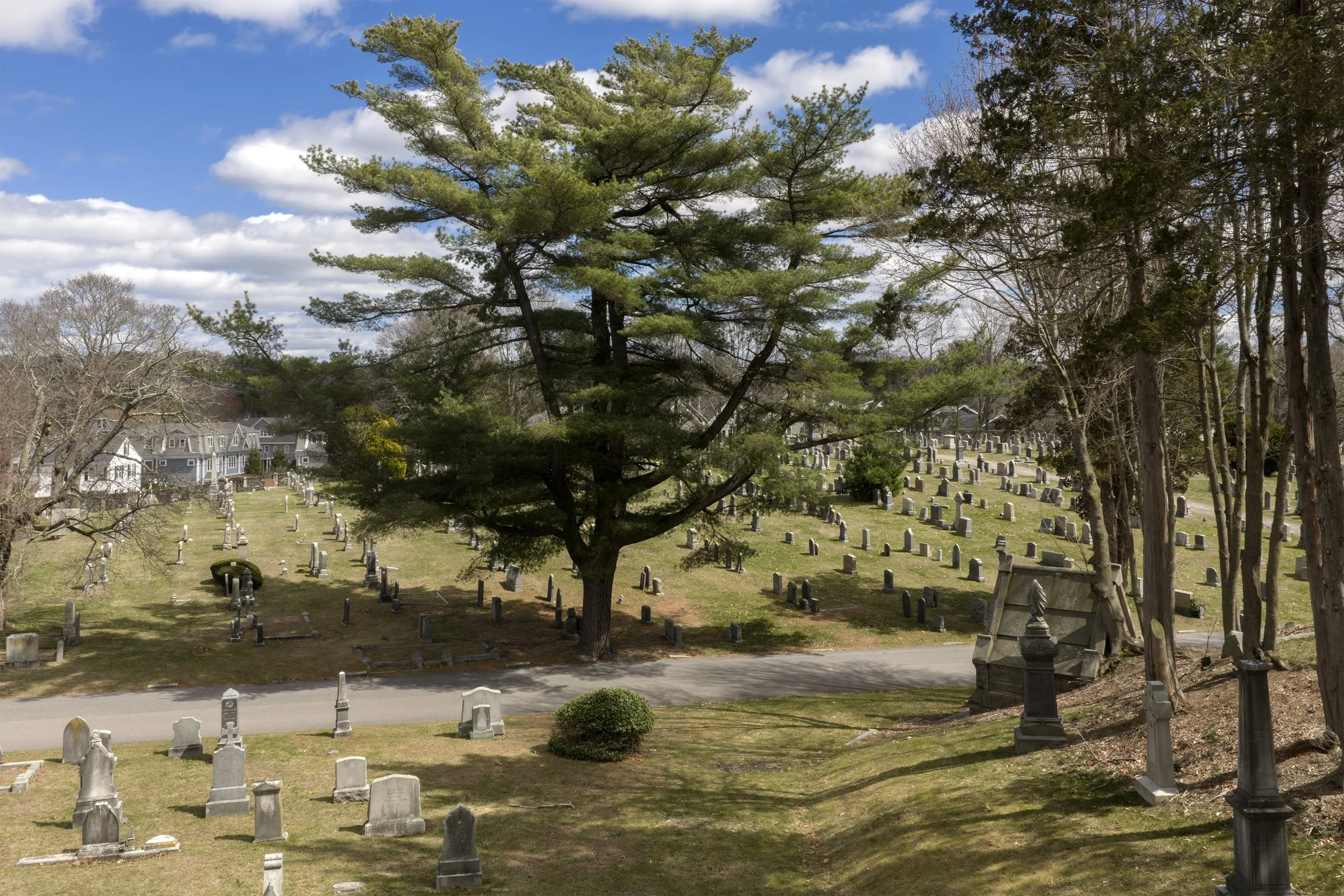 DJI_20260406133706_0279_D copy.jpg