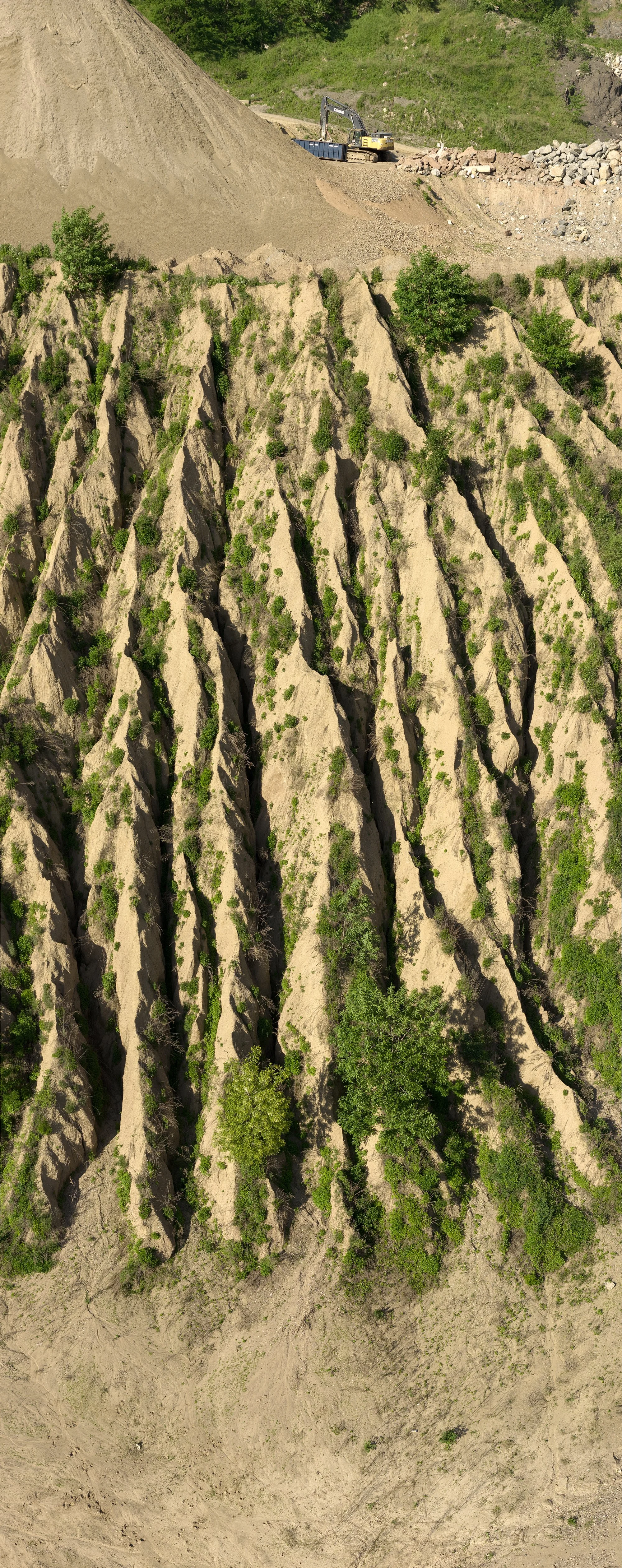 Untitled_Panorama-107.jpg