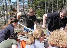Premier Gallant pitches in. Photo: Telegraph Journal