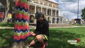 A woman wraps a blanket around one of the Officer's Square elms whose days may be numbered. Photo Credit: Global News