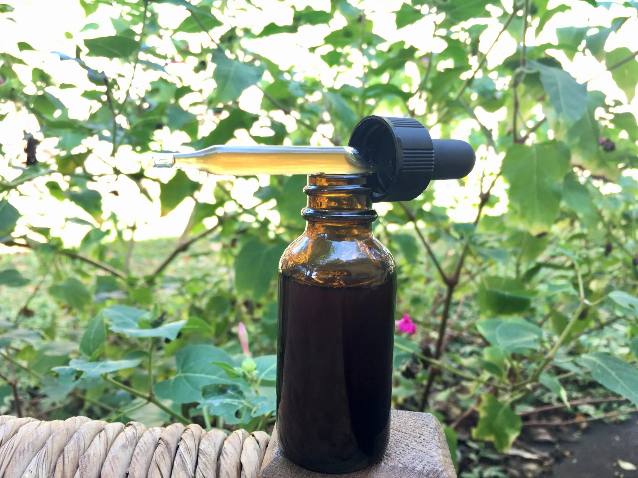 Burdock Root (Venus) Spagyric