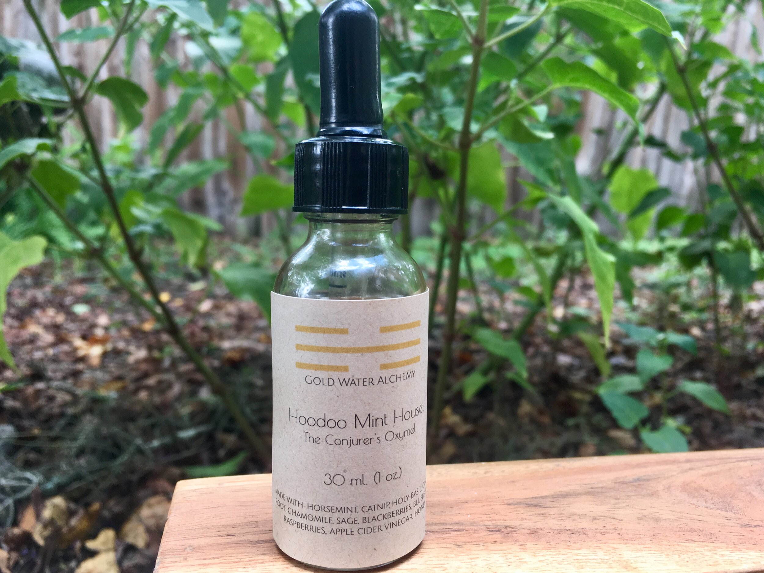 Hoodoo Mint House: The Conjurer's Oxymel