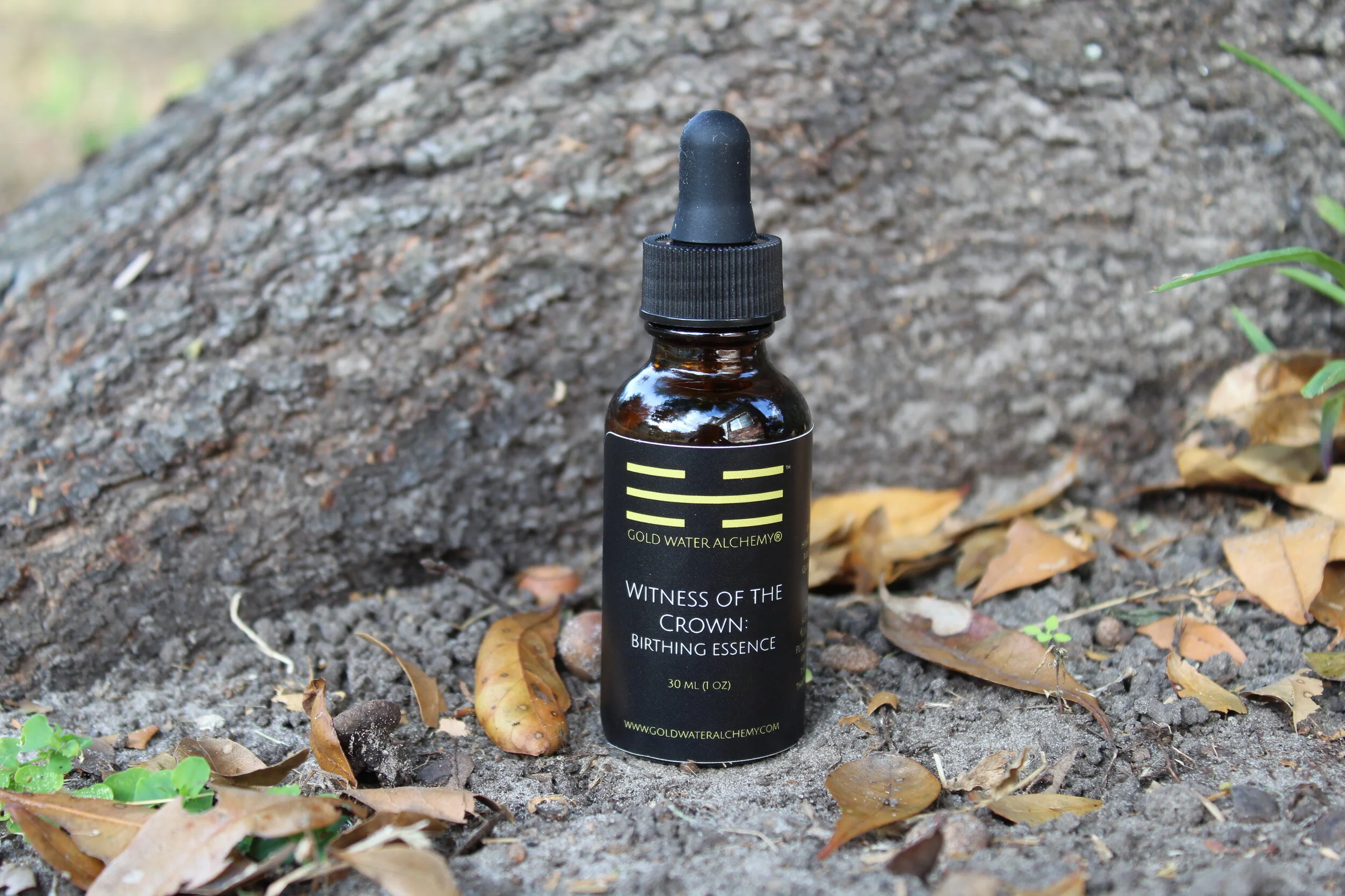 Witness of the Crown: an Essence Blend for Birthing