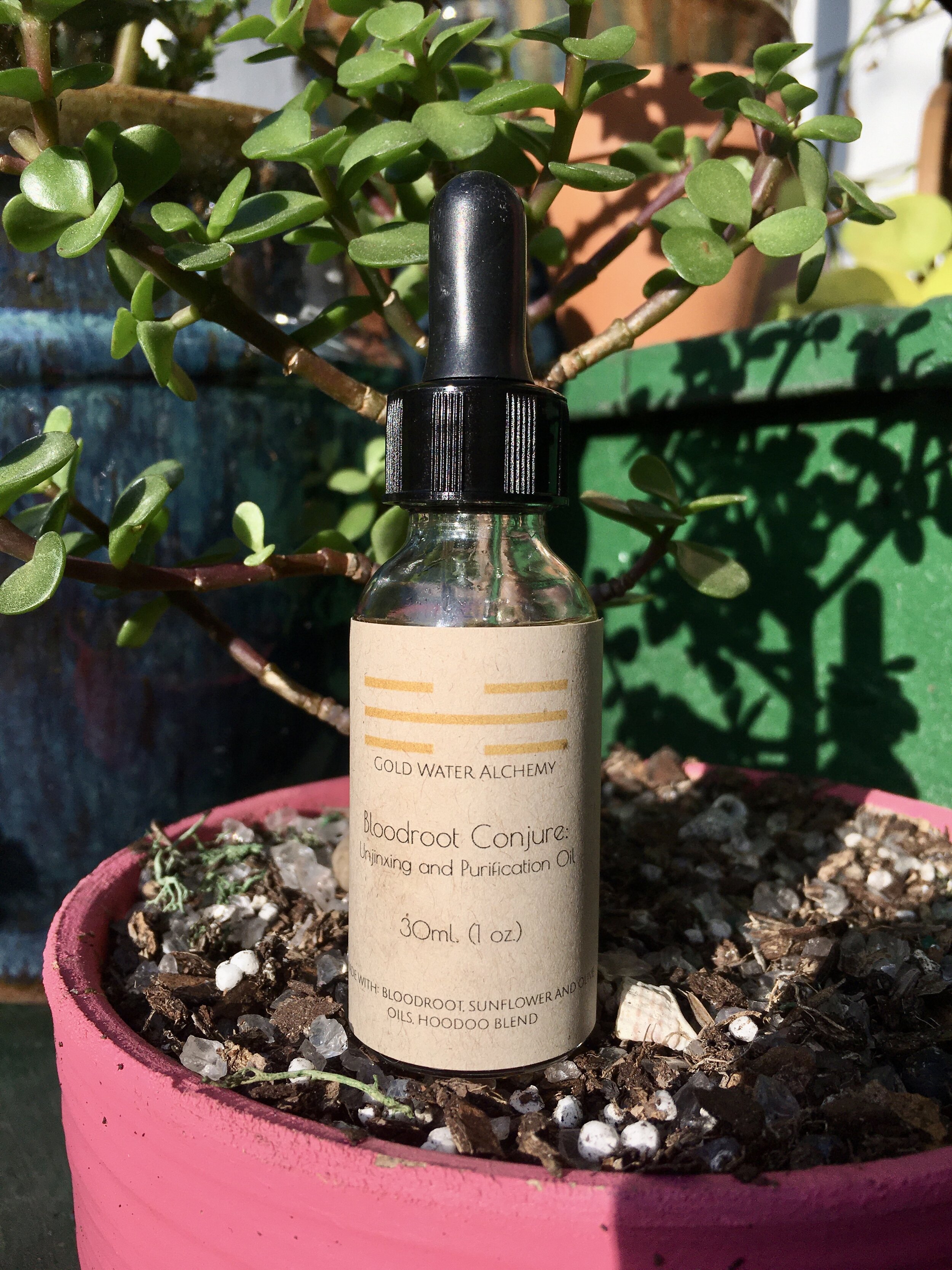 Unjinxing and Purification Oil: Bloodroot Conjure