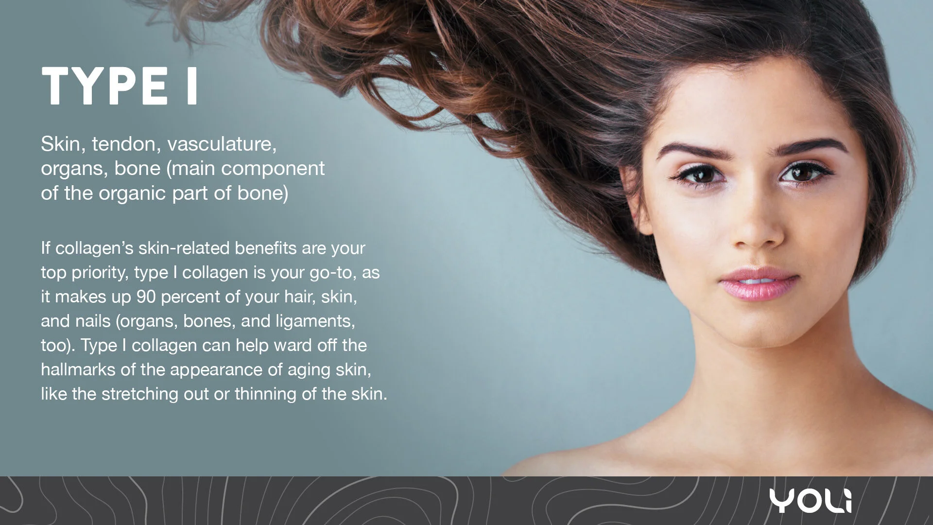 Collagen_slides3.jpg