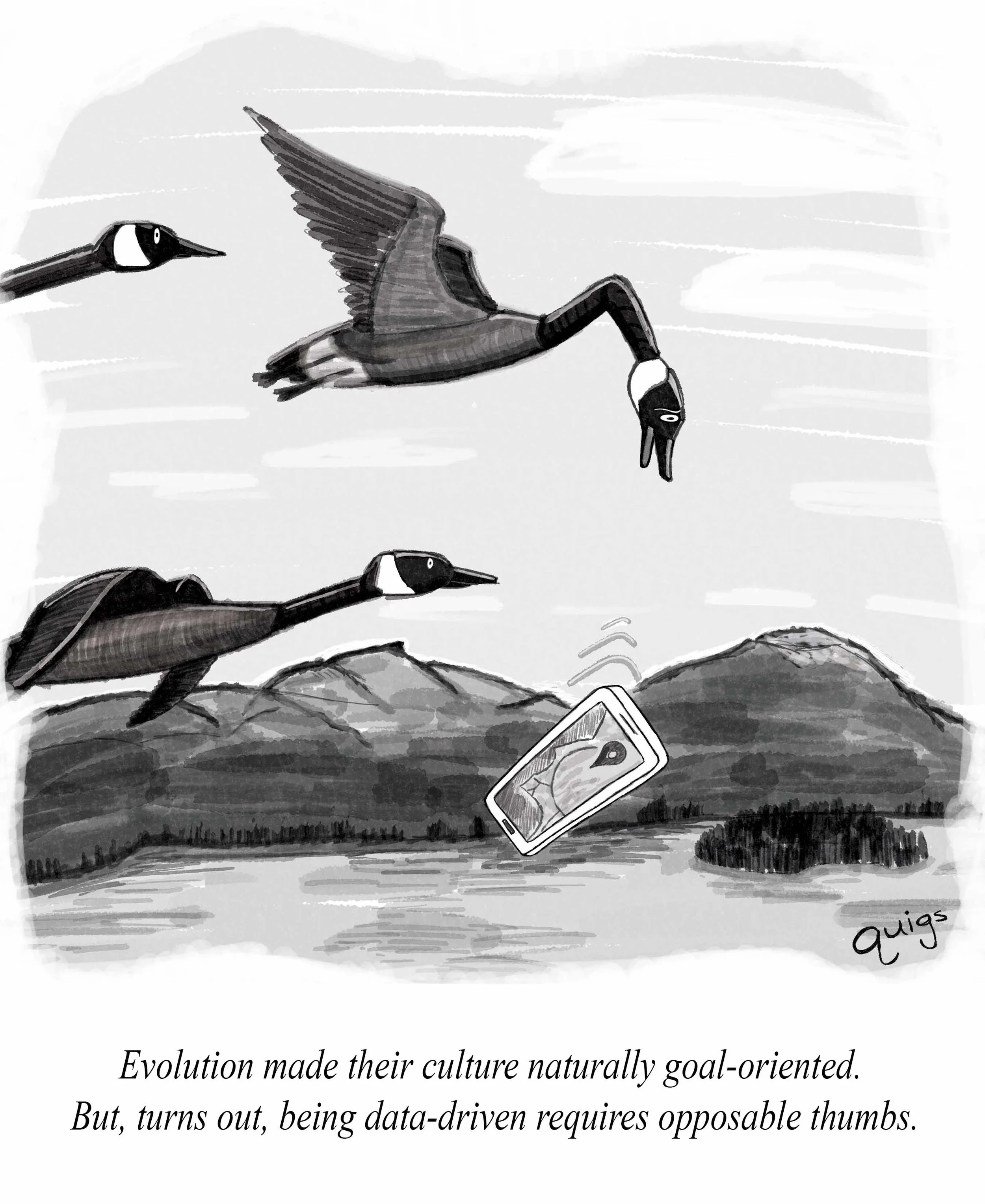 Digital Darwinism