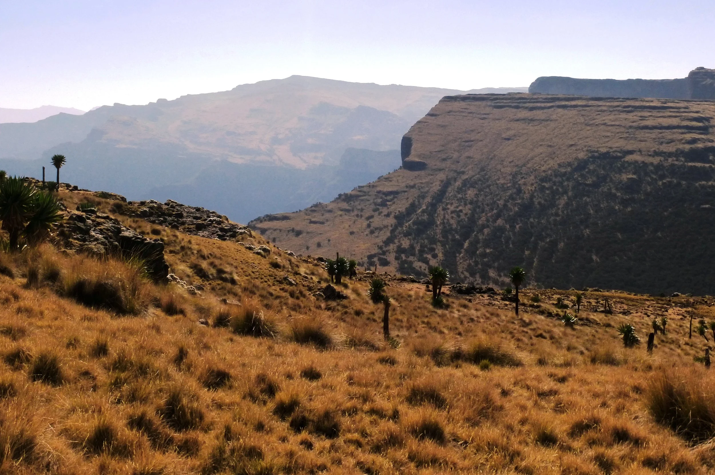 Copy of Copy of 083.JPG