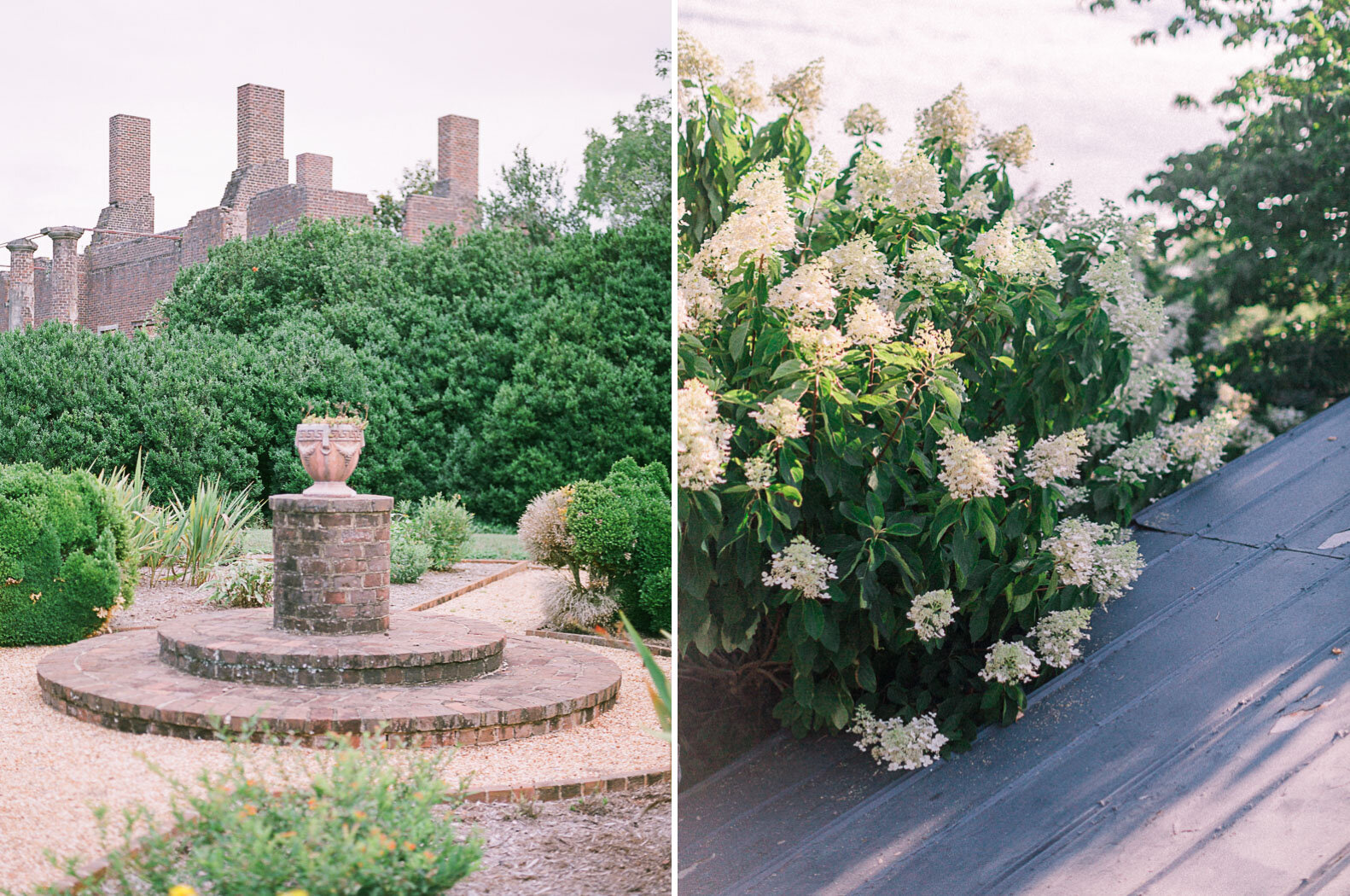 barboursville-vinyards-wedding-charlottesville-wedding-photographer-pippin-hill-wedding-florals.jpg