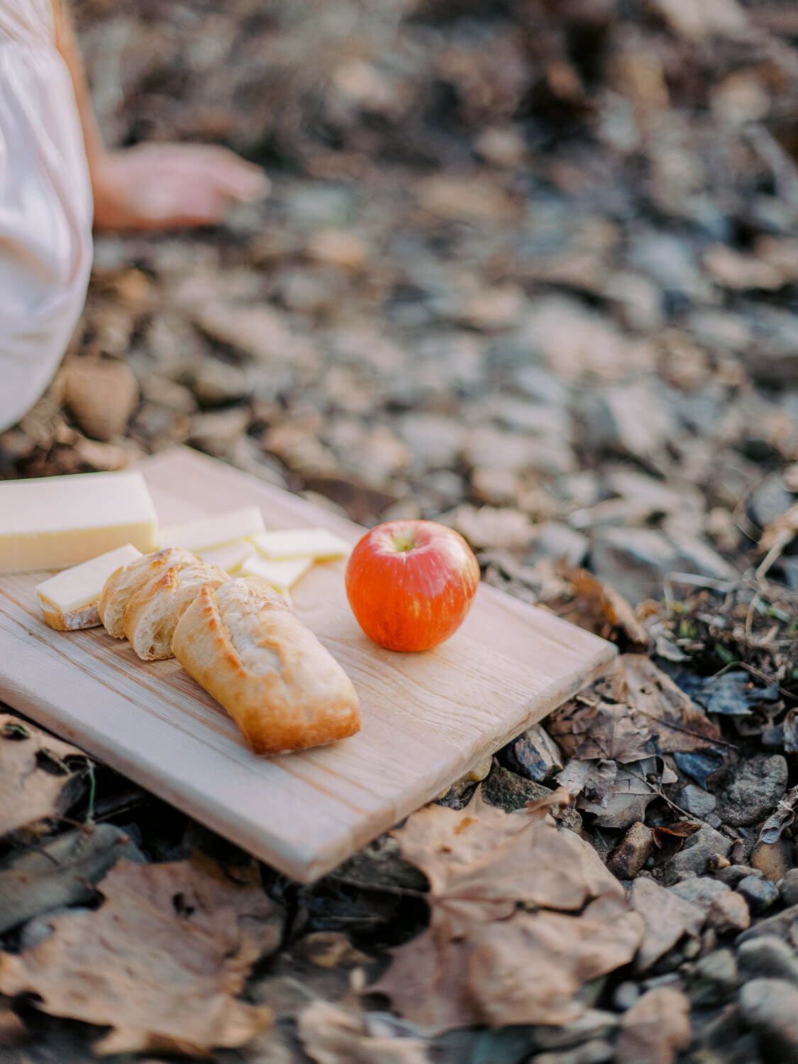 charcuterie-board-with-cheese-bread-and-an-apple-on-riverbank-during-engagement-session-in-charlottesville-virginia.jpg
