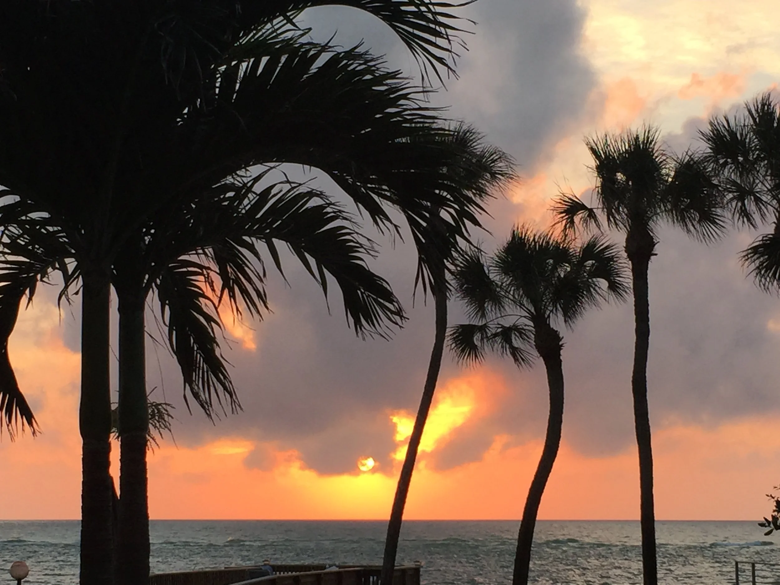 Ebb Tide Cottage 2, Siesta Key