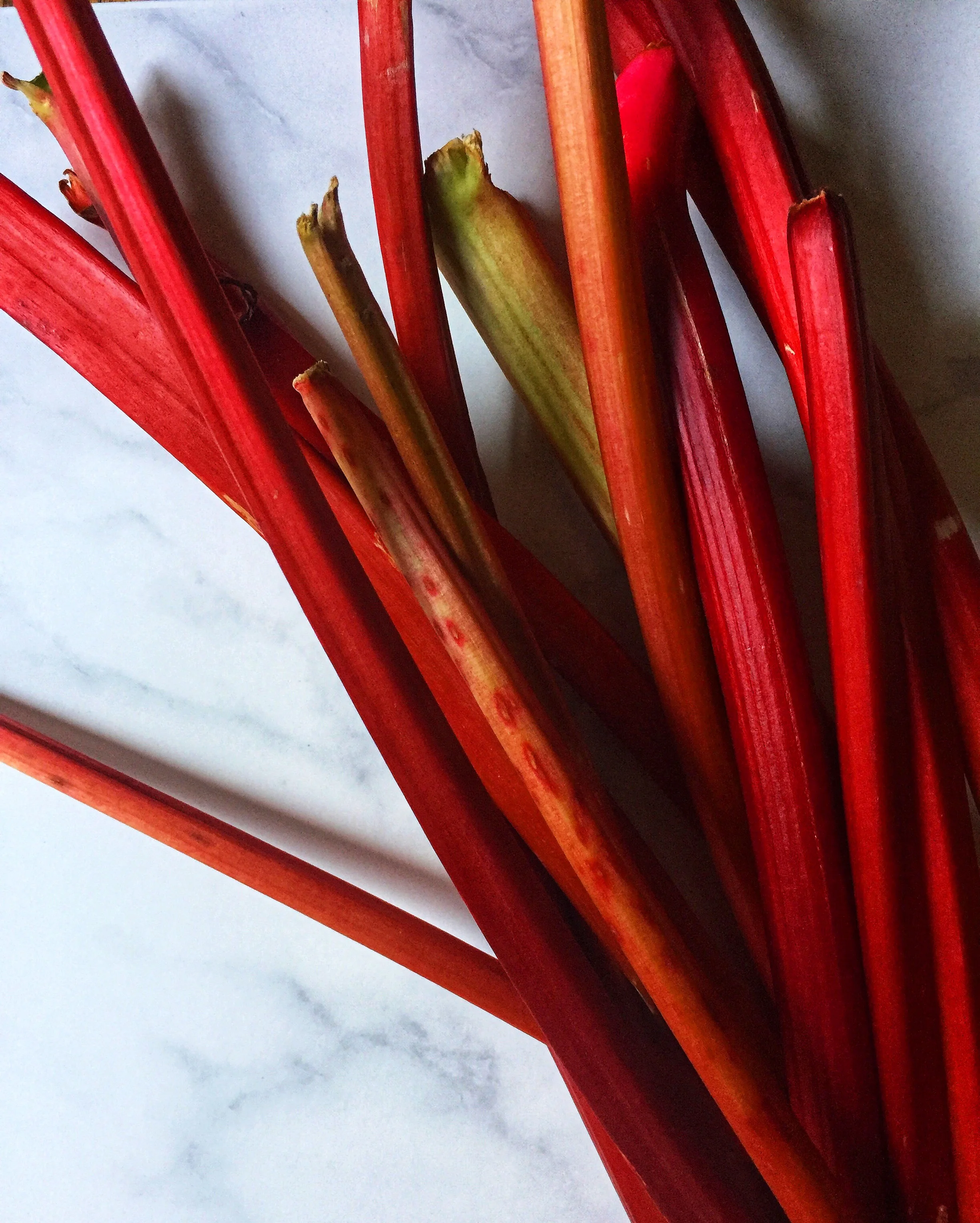 Rhubarb Infused Gin Recipe For Rhubarb Gin Elderflower Cocktail Afsana Liza