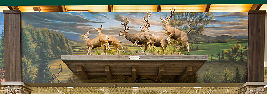 Mural Diorama on Canvas for Corporate Sporting Goods Chain - Ohio