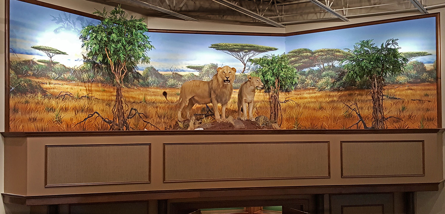 Mural Diorama on Canvas for Corporate Sporting Goods Chain - Montana