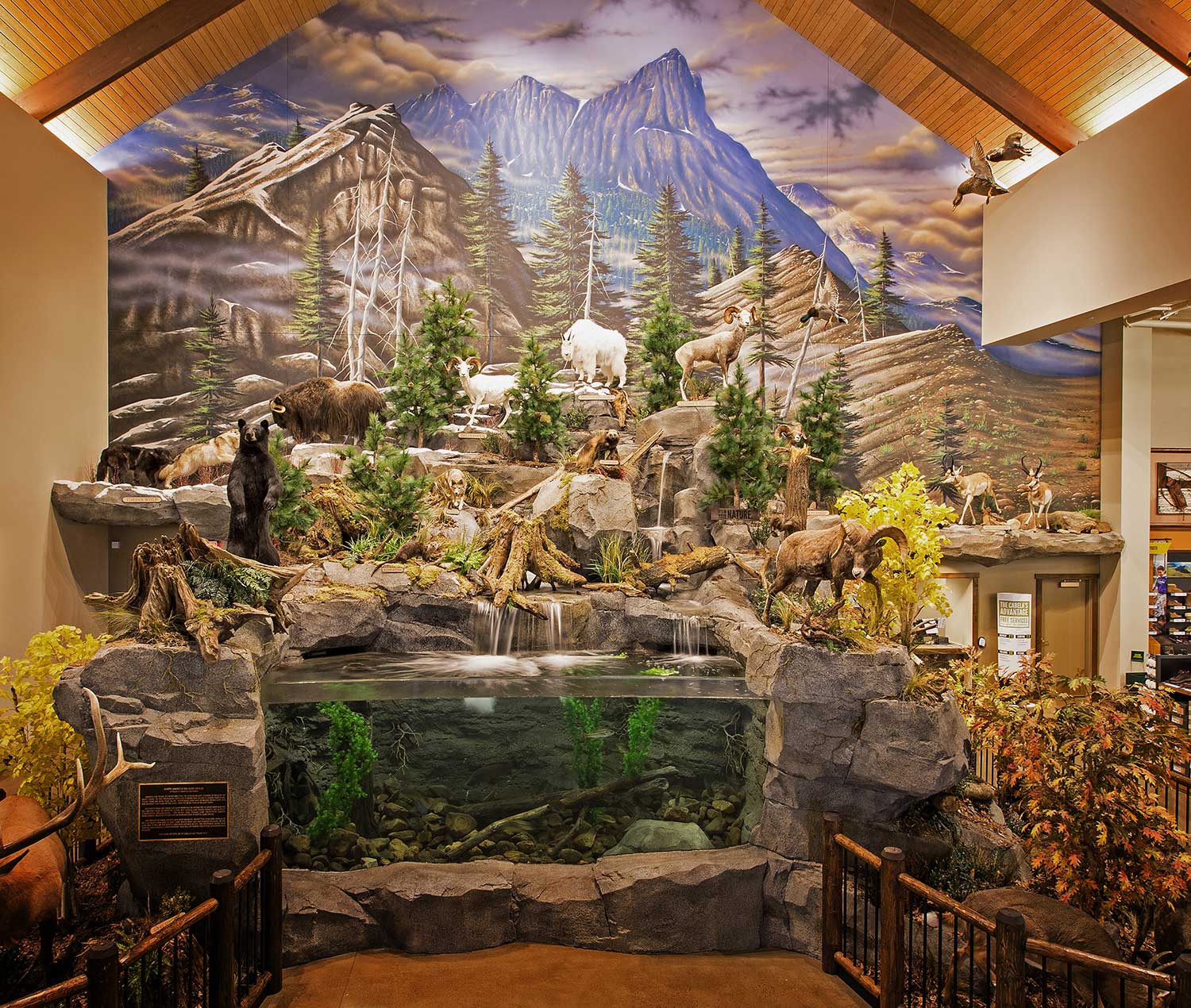 Mural Diorama on location for Corporate Sporting Goods Chain