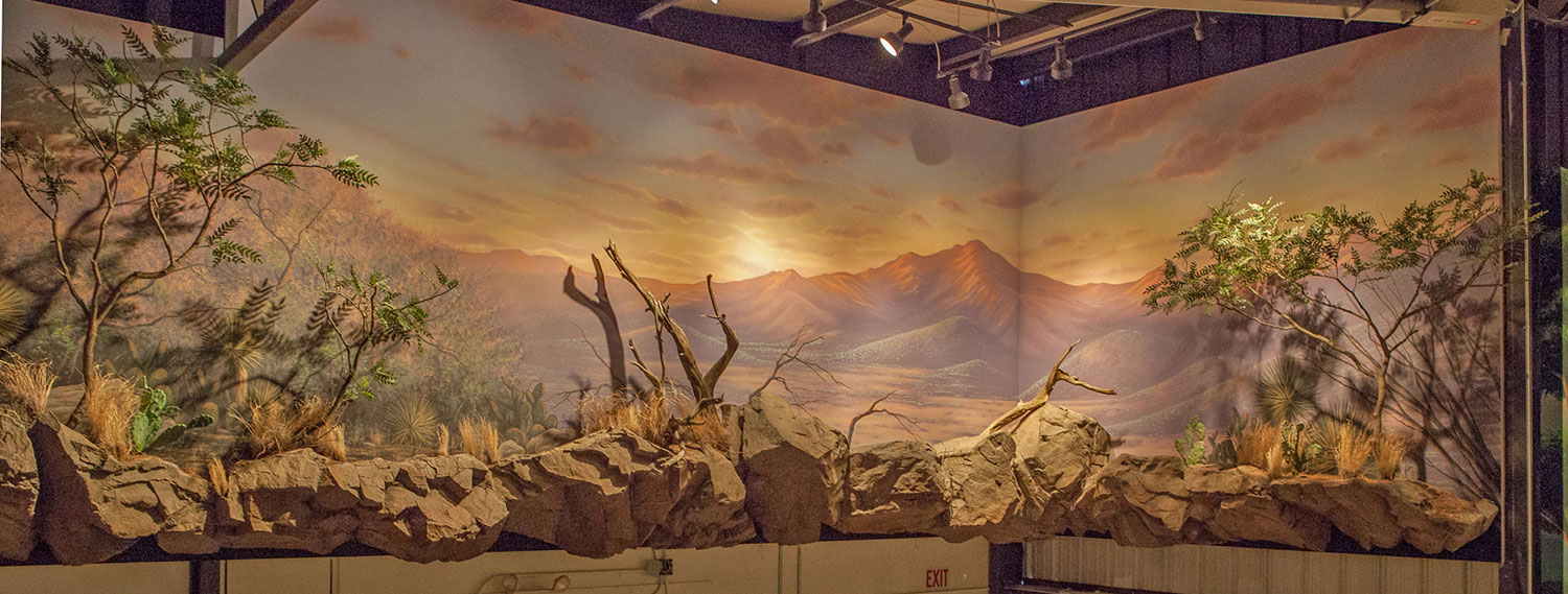 Mural Diorama on location for Private Residence - West Virginia