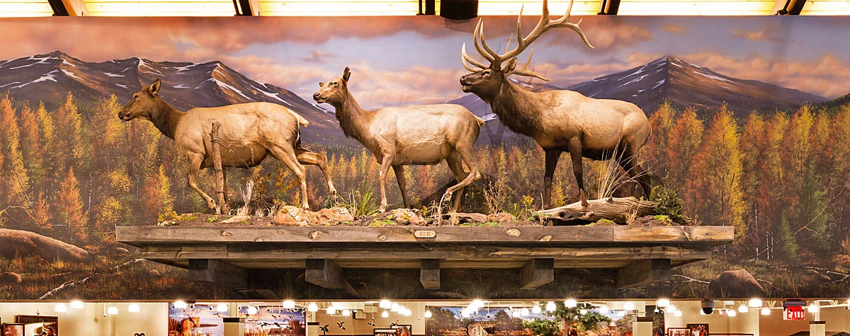 Mural Diorama on Canvas for Corporate Sporting Goods Chain