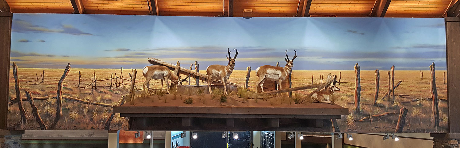 Mural Diorama on Canvas for Corporate Sporting Goods Chain