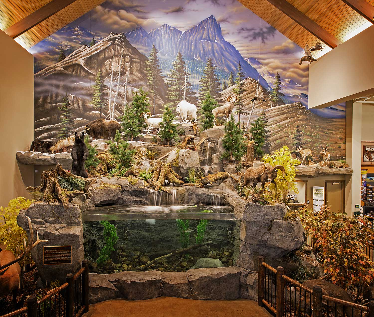 Mural Diorama on Location for Corporate Sporting Goods Chain