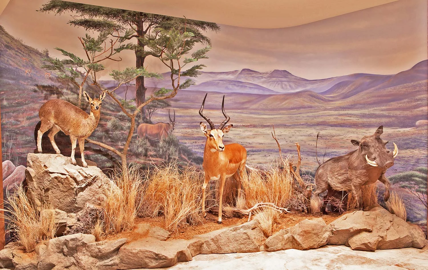 Mural Diorama on Location for Private Residence