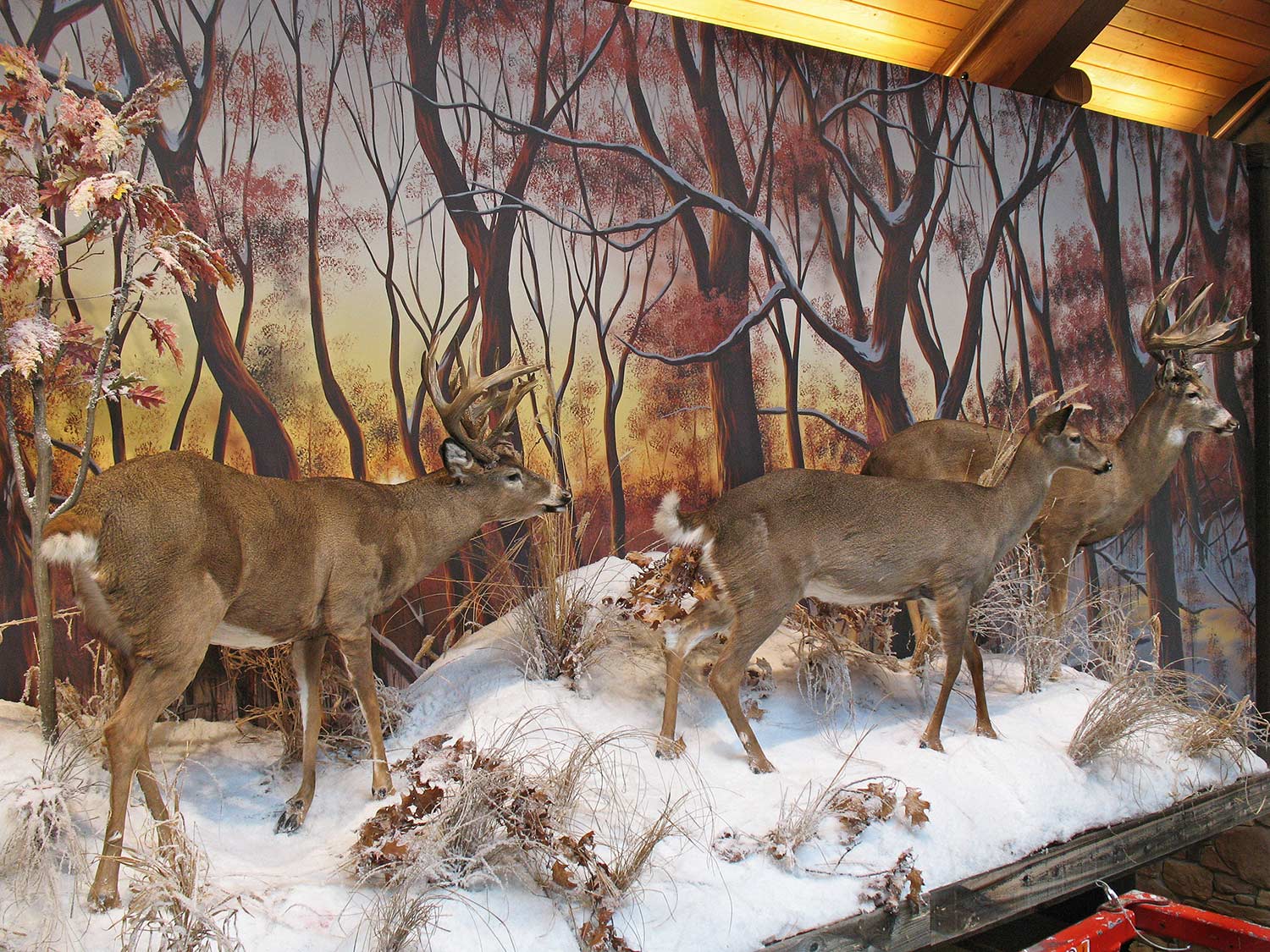 Mural Diorama on Canvas for Corporate Sporting Goods Chain