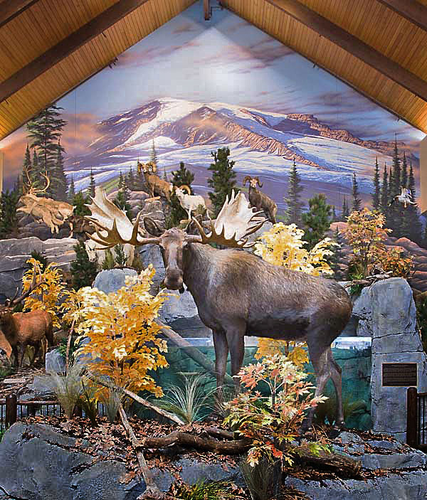 Mural Diorama on location for Corporate Sporting Goods Chain