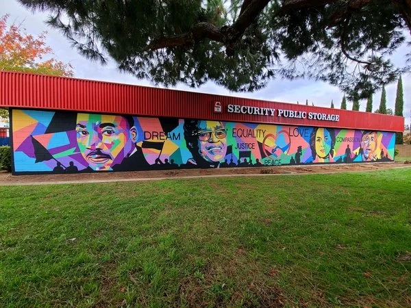 Mural Gallery — Mural Decor
