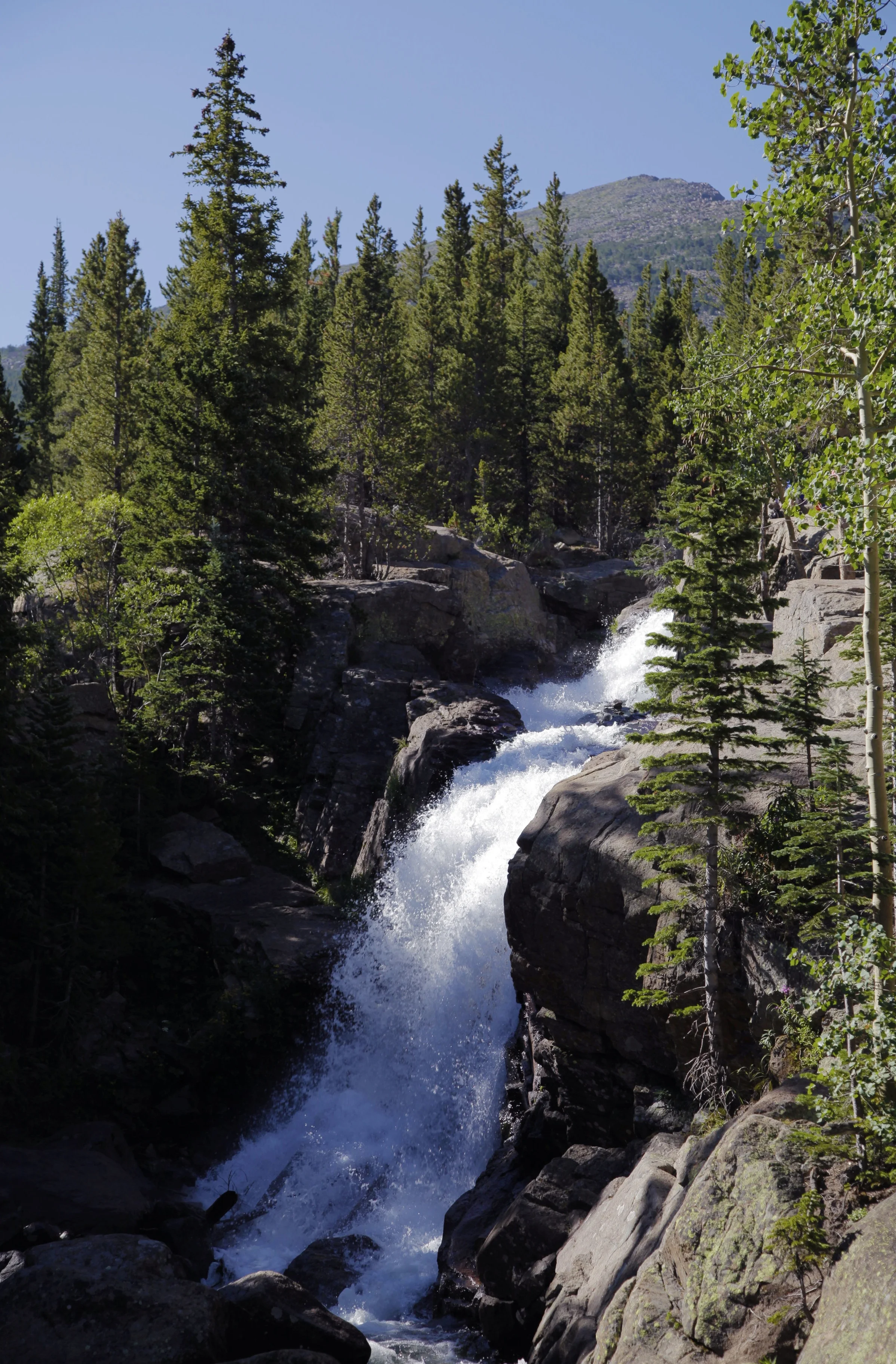 _MG_4846_1.jpg