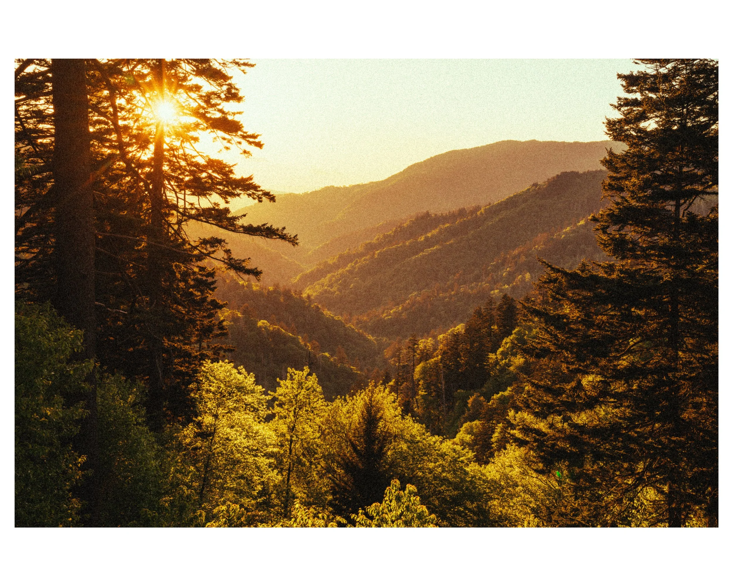 IG_WhiteBorder_0004_Sunset_Postcard.jpg
