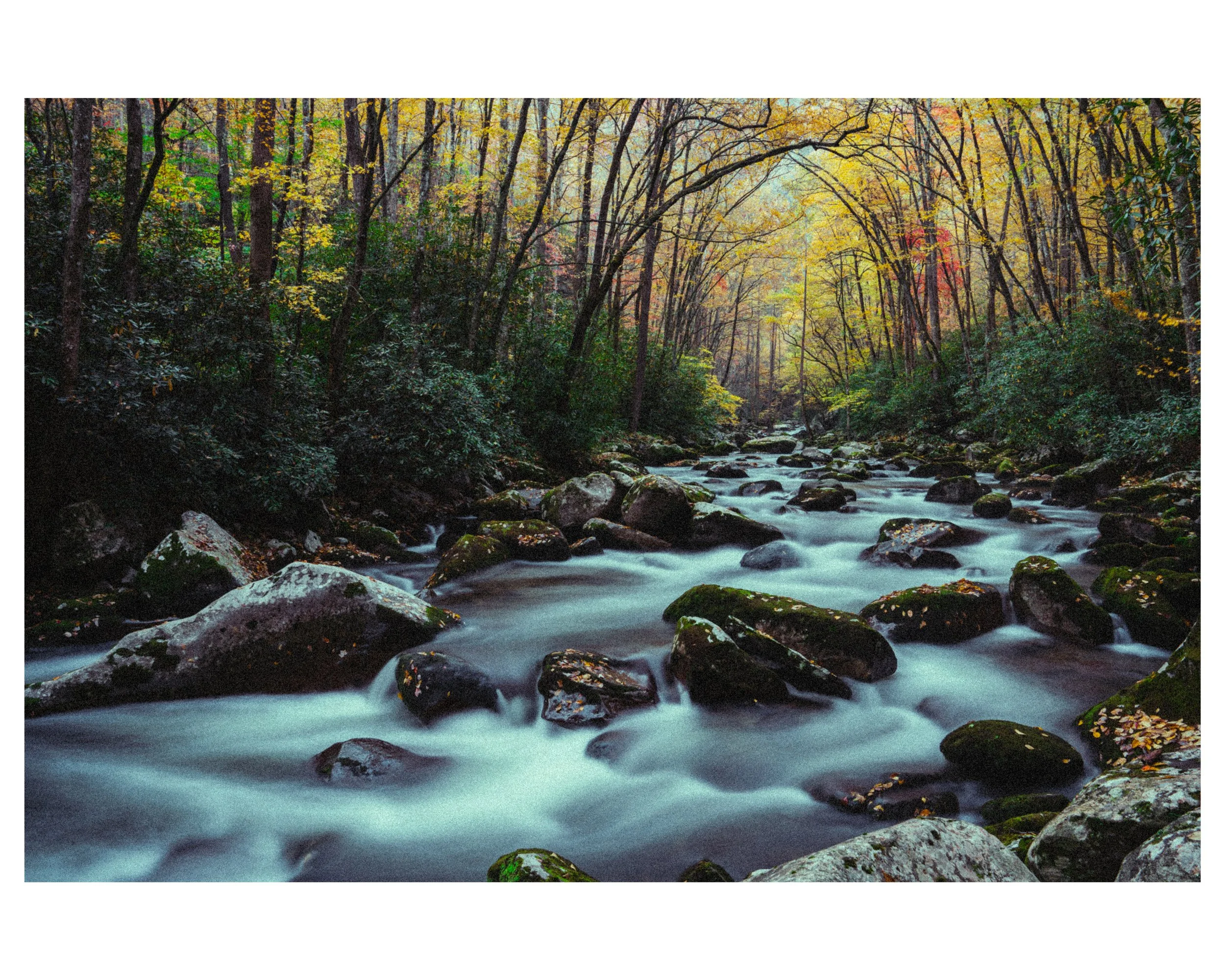 IG_WhiteBorder_0011_BigCreek_Postcard.jpg