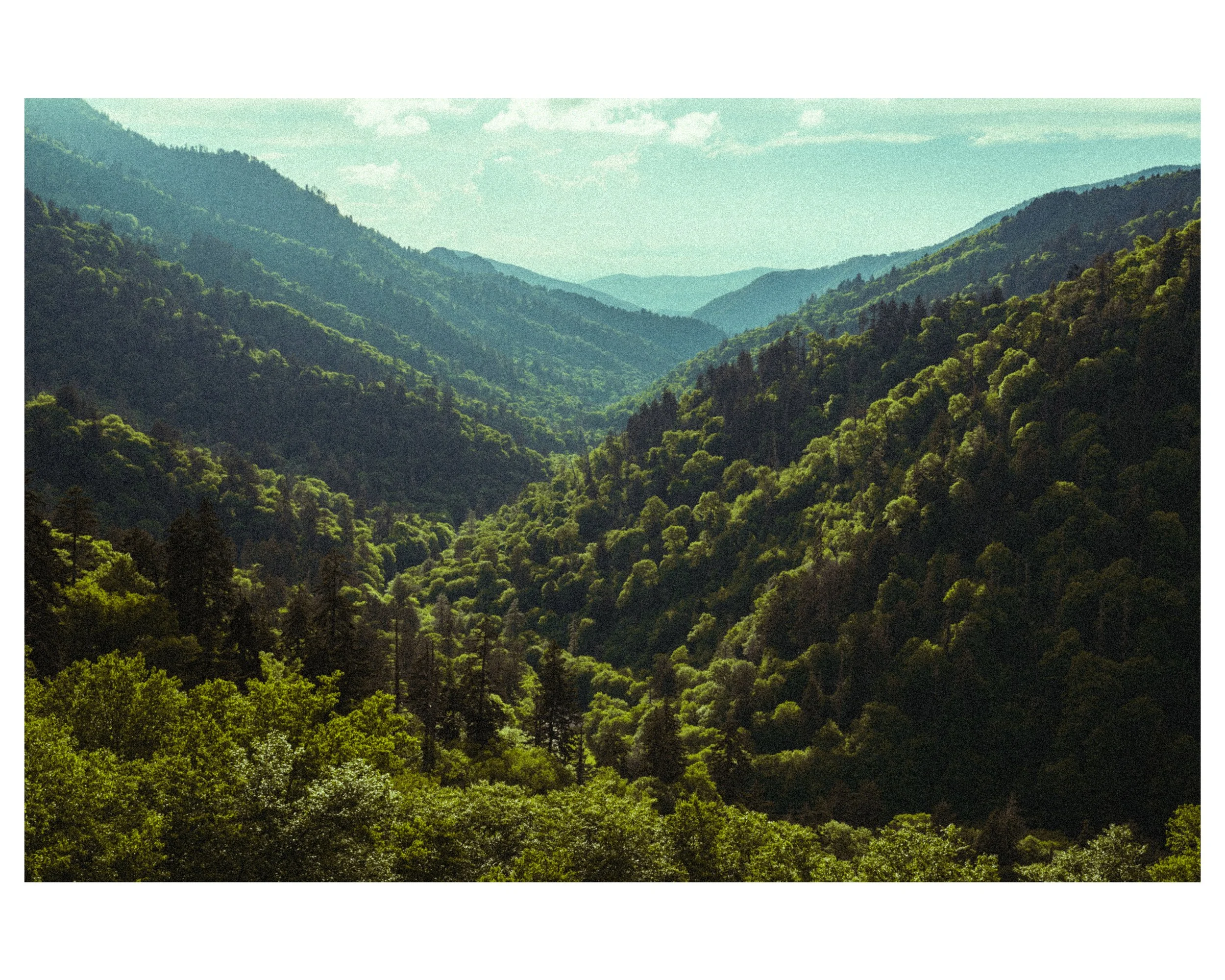 IG_WhiteBorder_0006_Mortons_Postcard.jpg