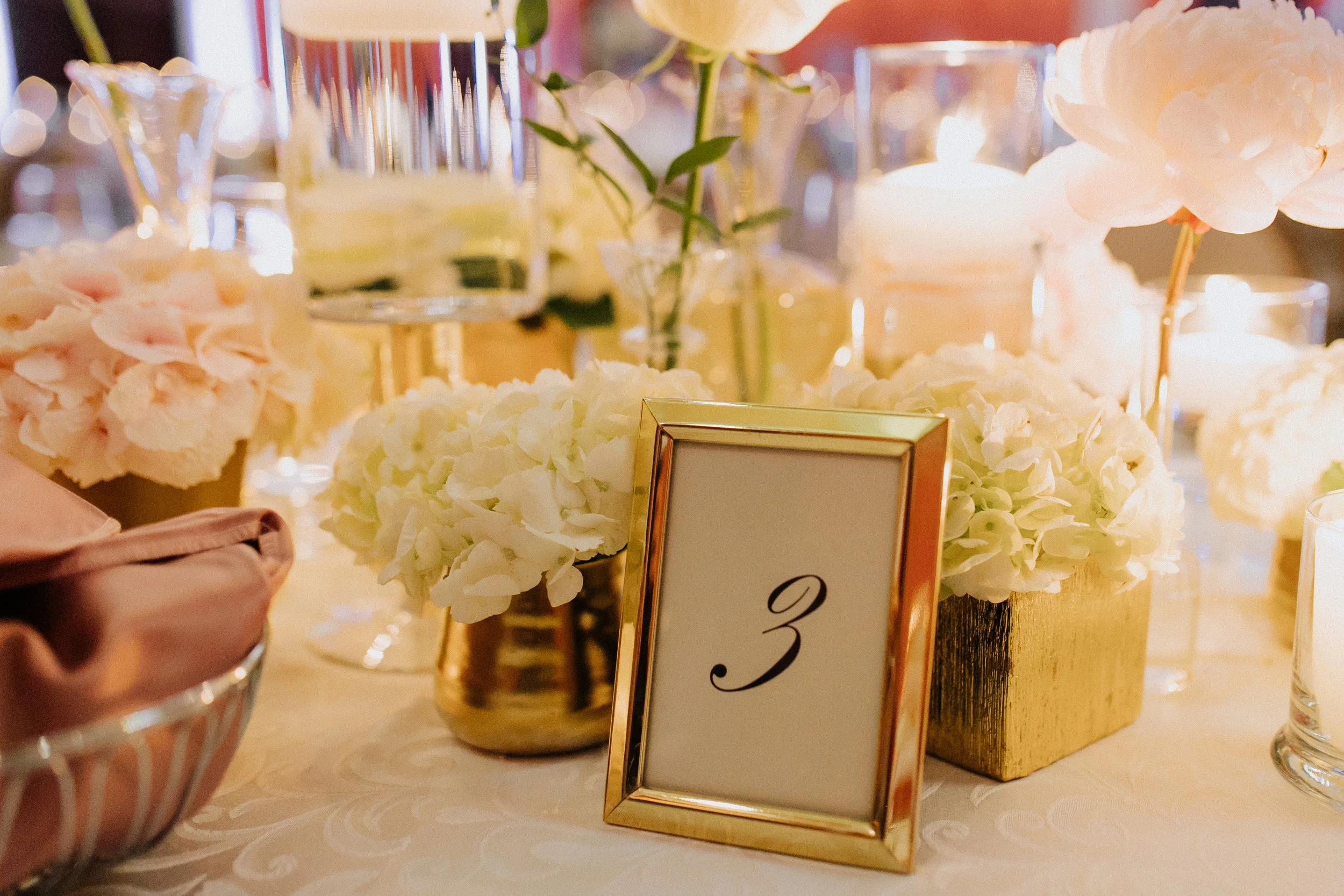 Trudy Holtz Photography
