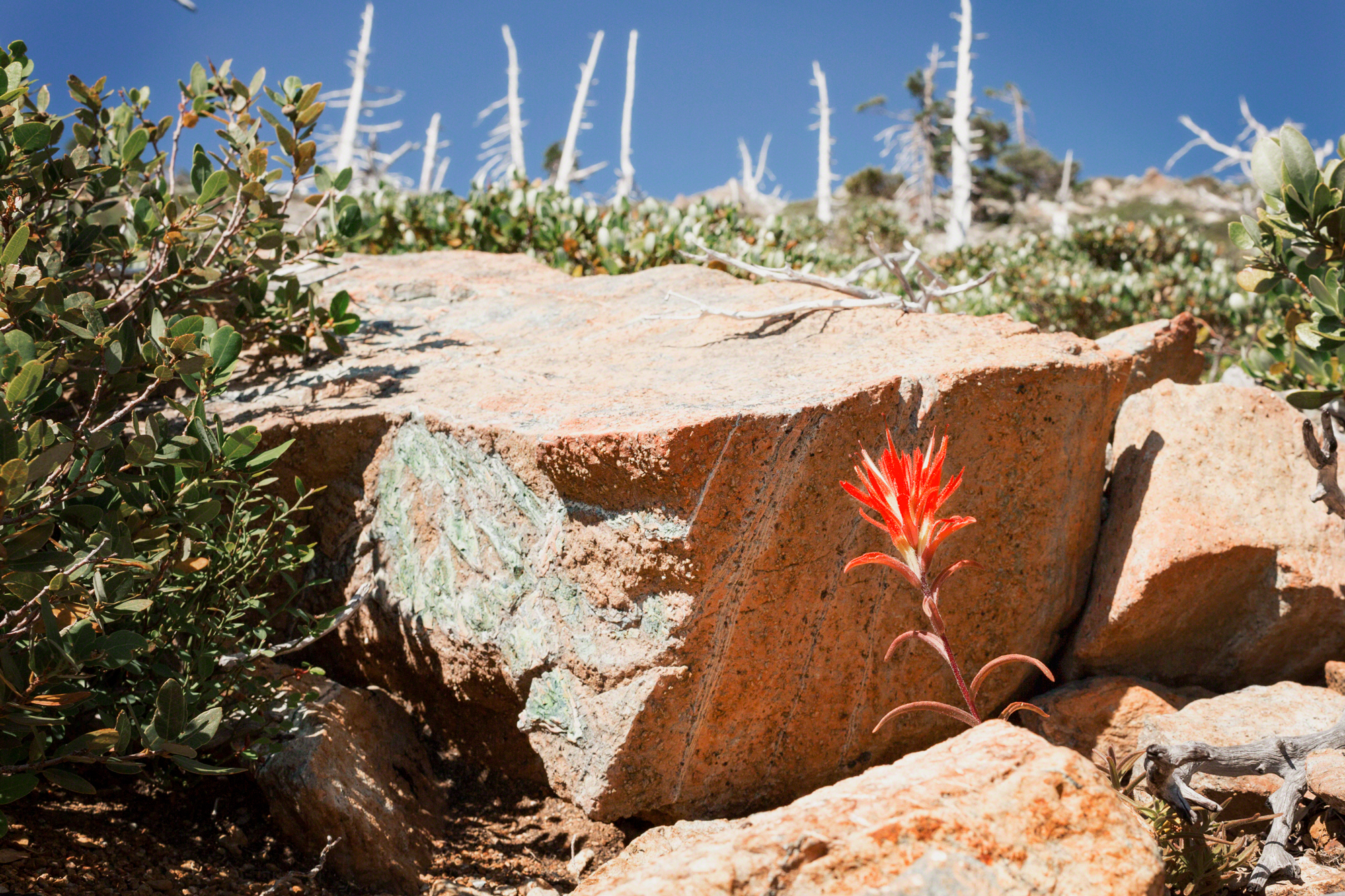 Vulcan-Peak-Periodite.jpg