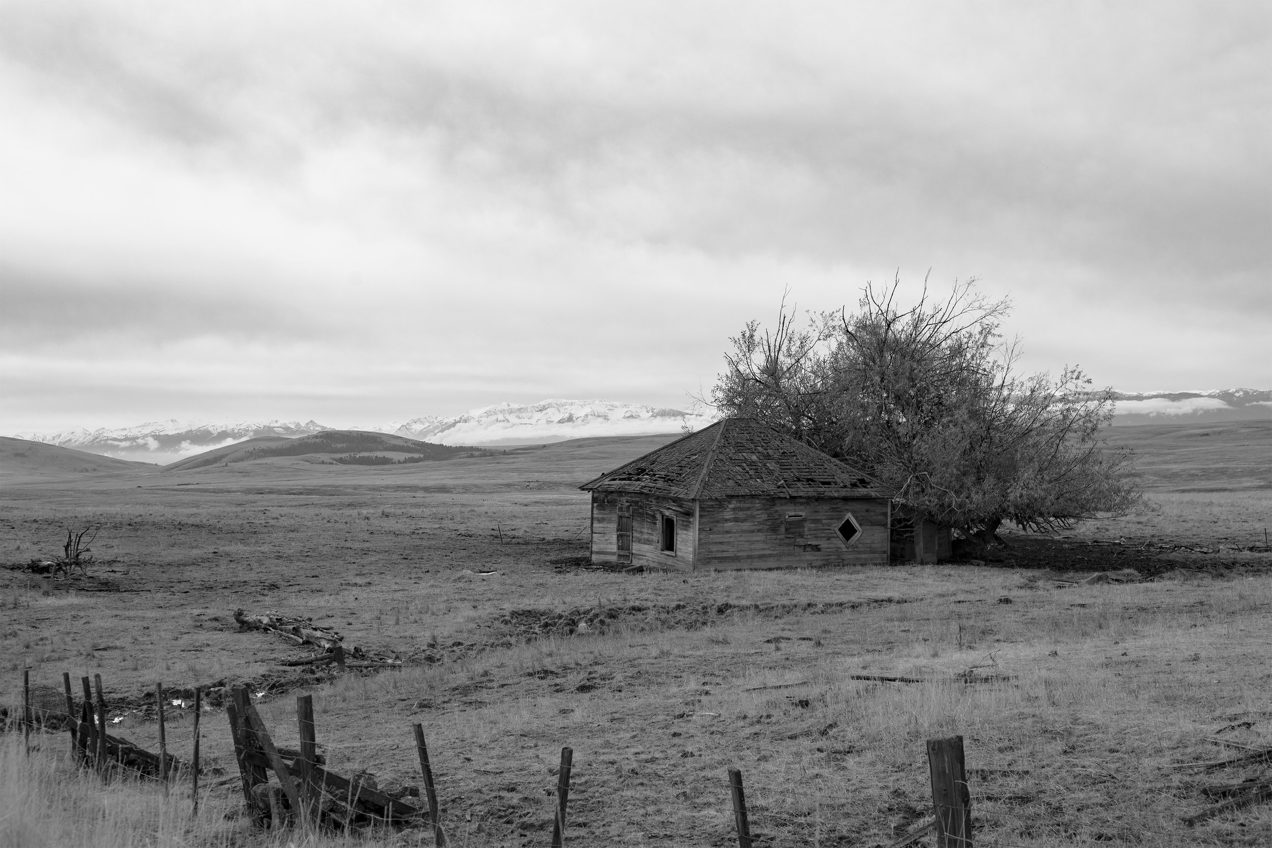 Abandoned Barn - Joseph, OR