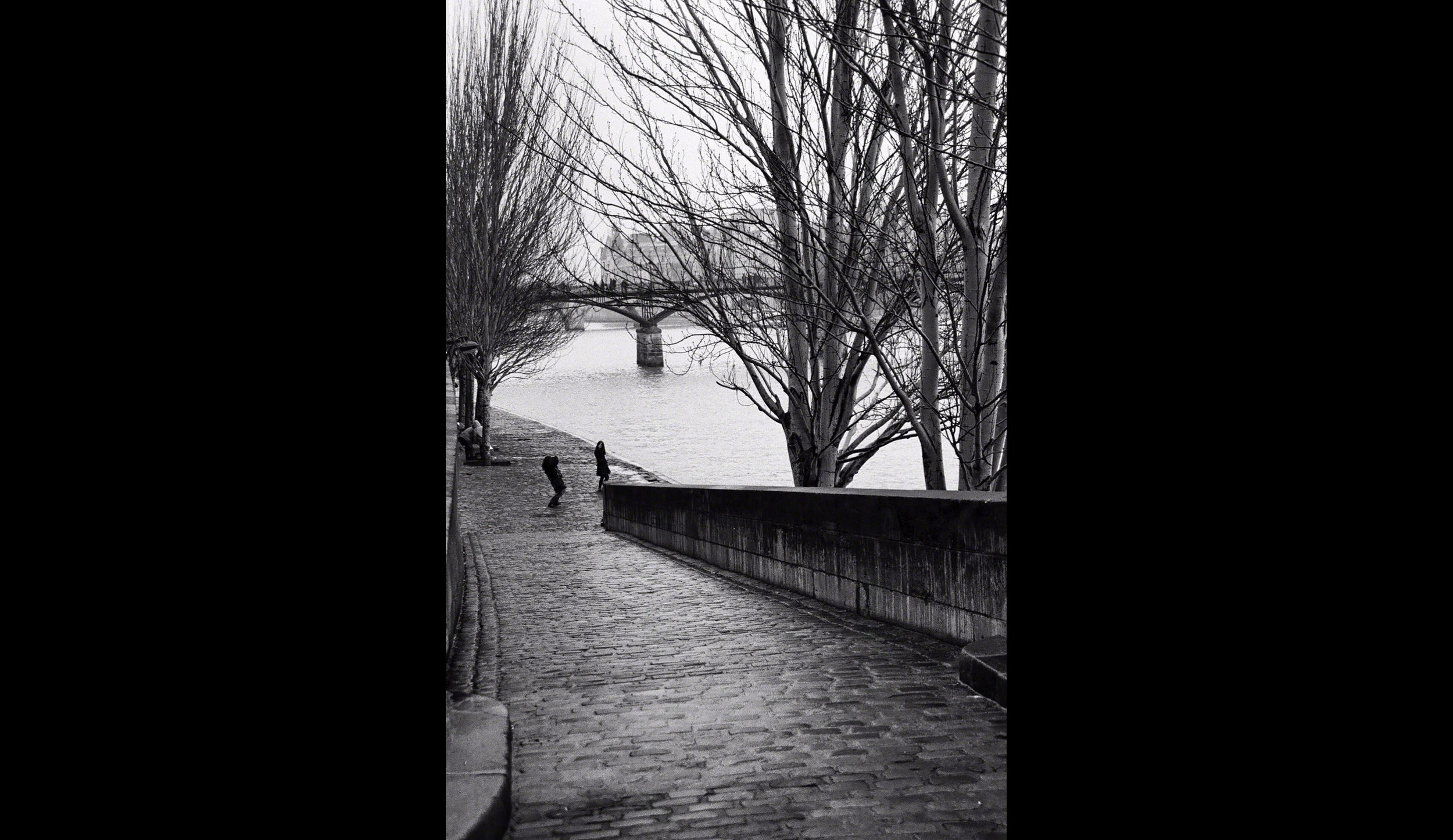 The-Seine.jpg