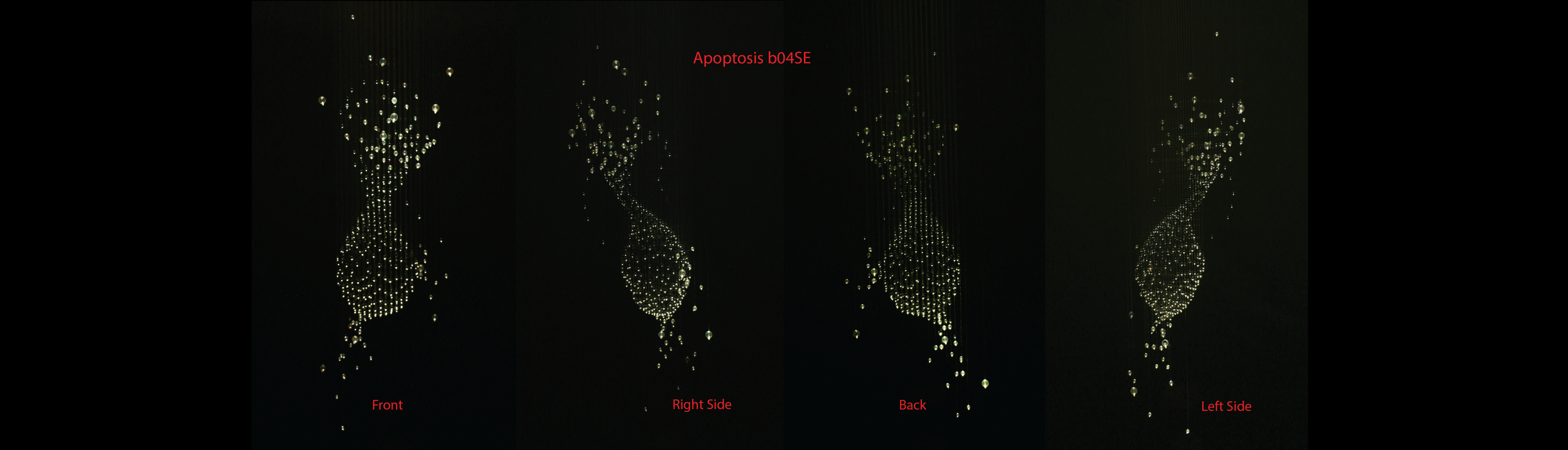 Apoptosis b04SE Website Layout2.png