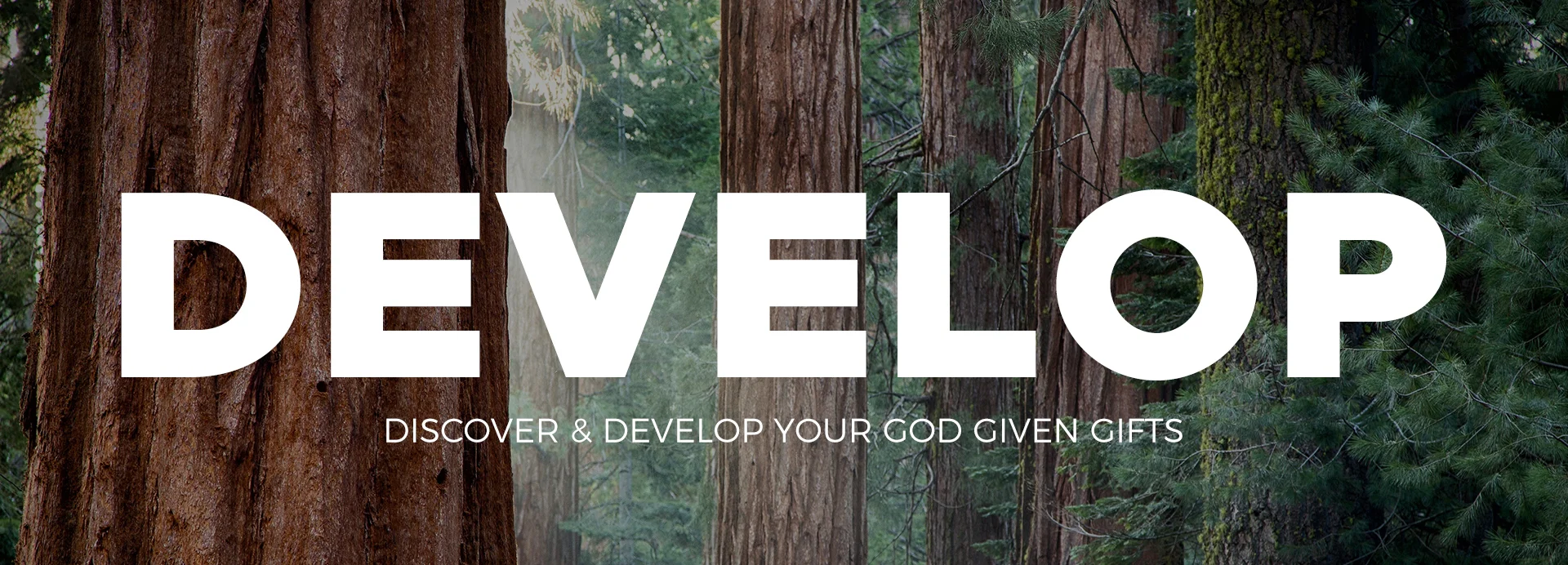 Develop_banner.jpg