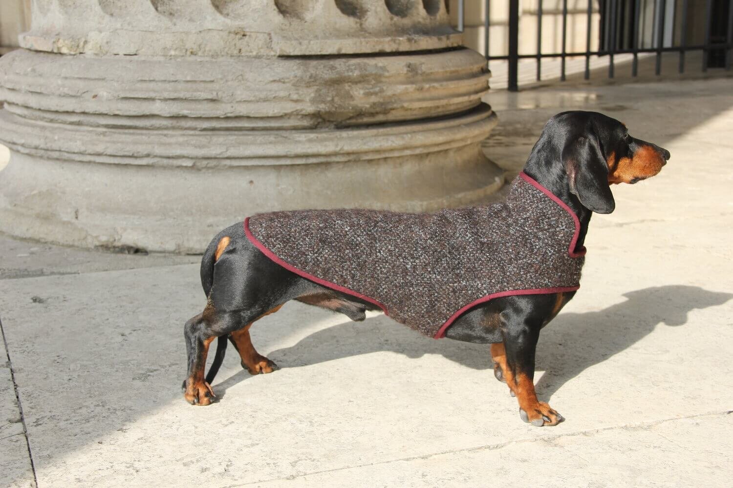 Wool dachshund coat in brown 