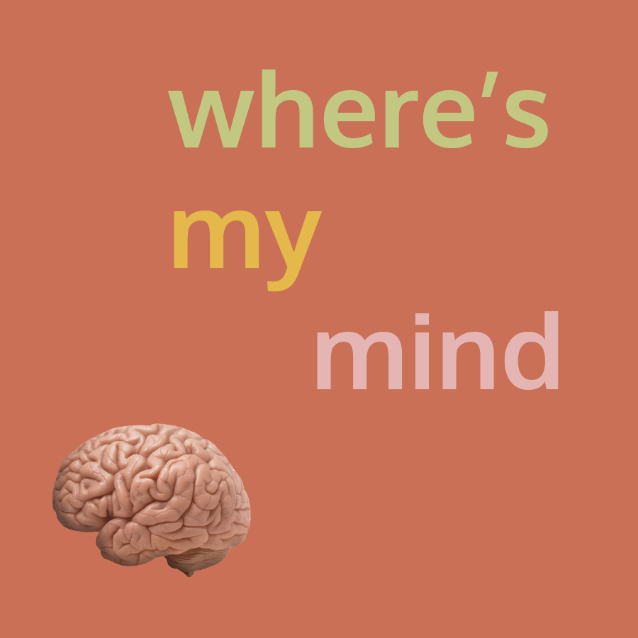 Where's My Mind Logo.png