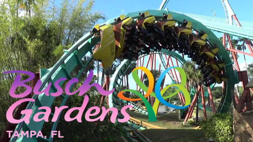 Busch Gardens Tampa Best Rides Attractions Bookbuses