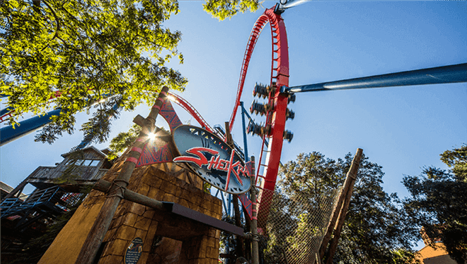 best-rides-sheikra.png