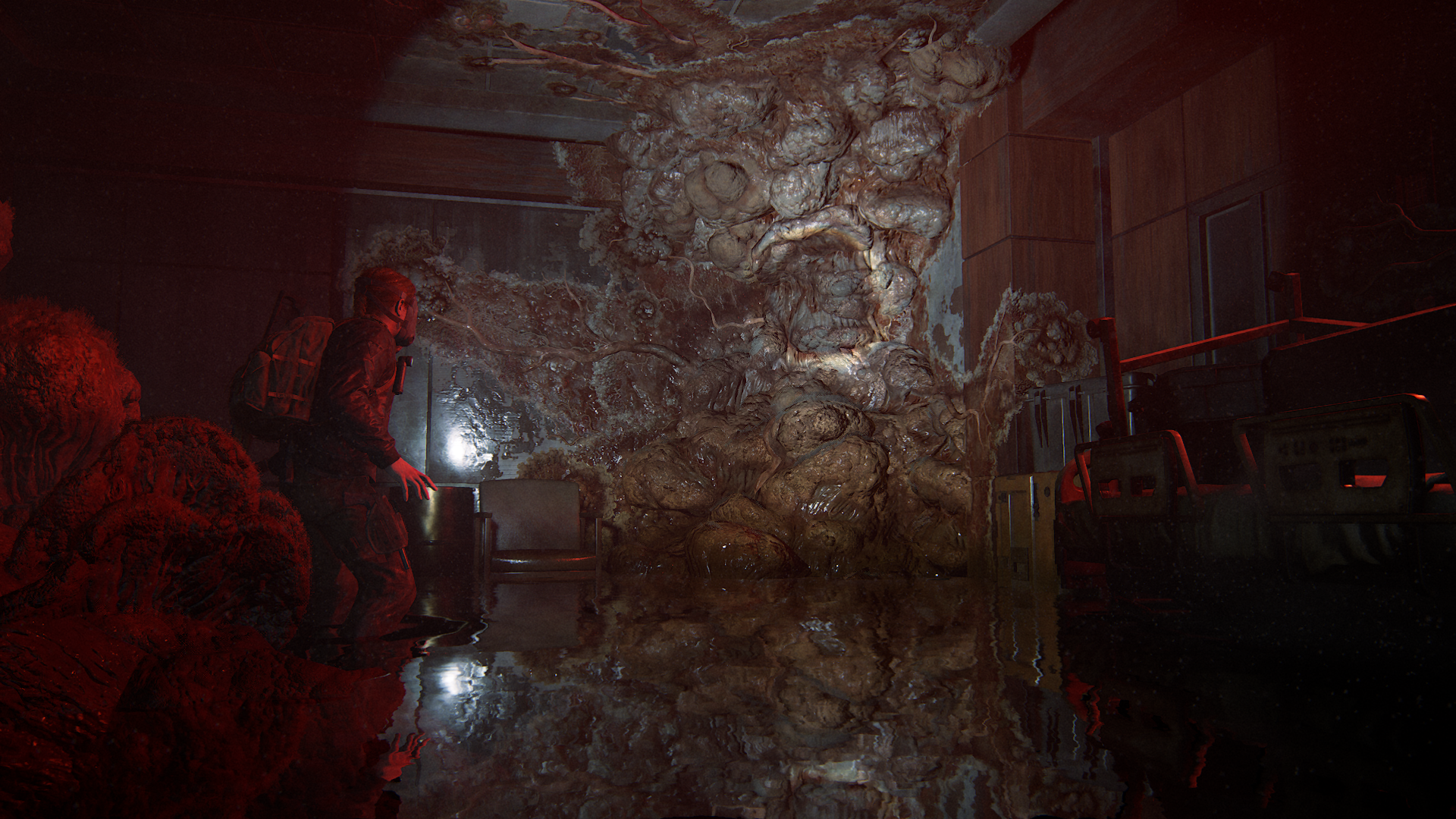Fungus Assets
