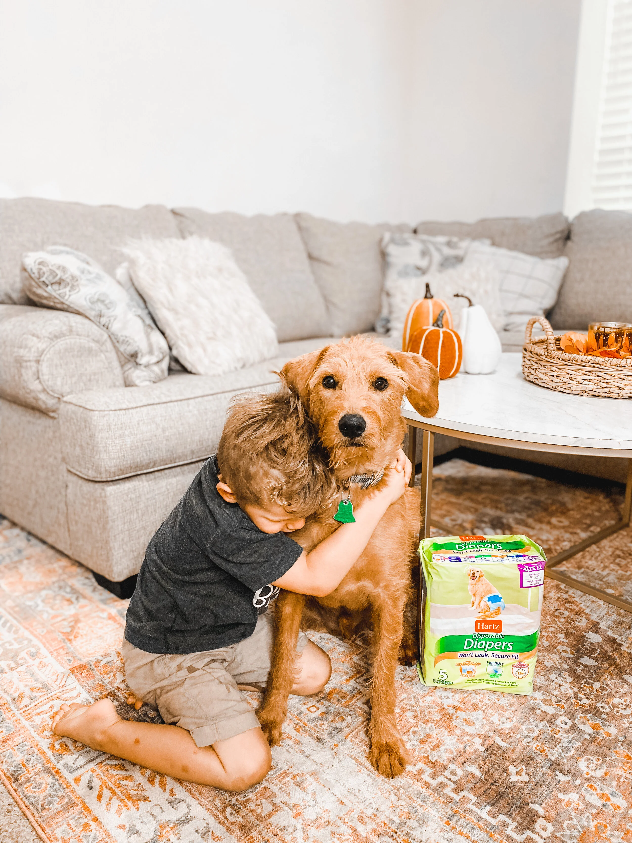 Is The Gel In Diapers Toxic To Dogs