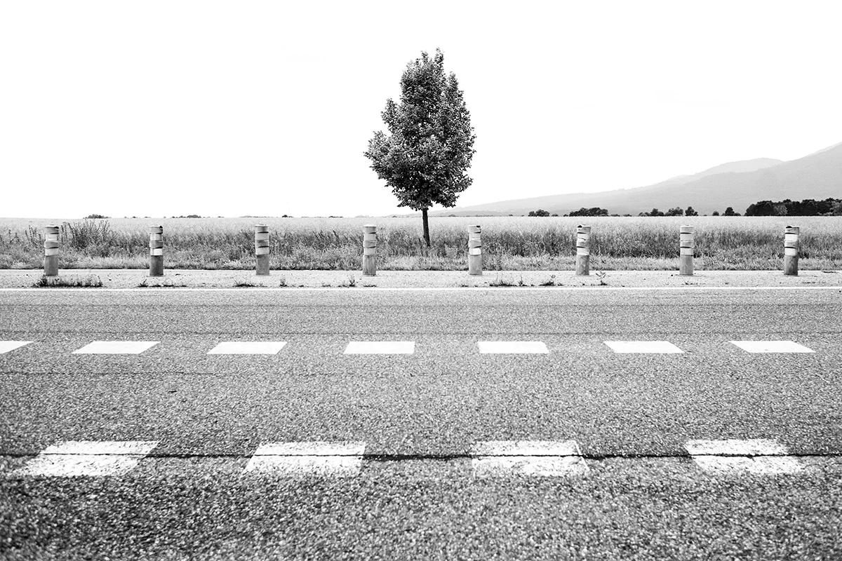 Route Nationale 83, Alsace, France by Leica Photographer Manuel Guerzoni