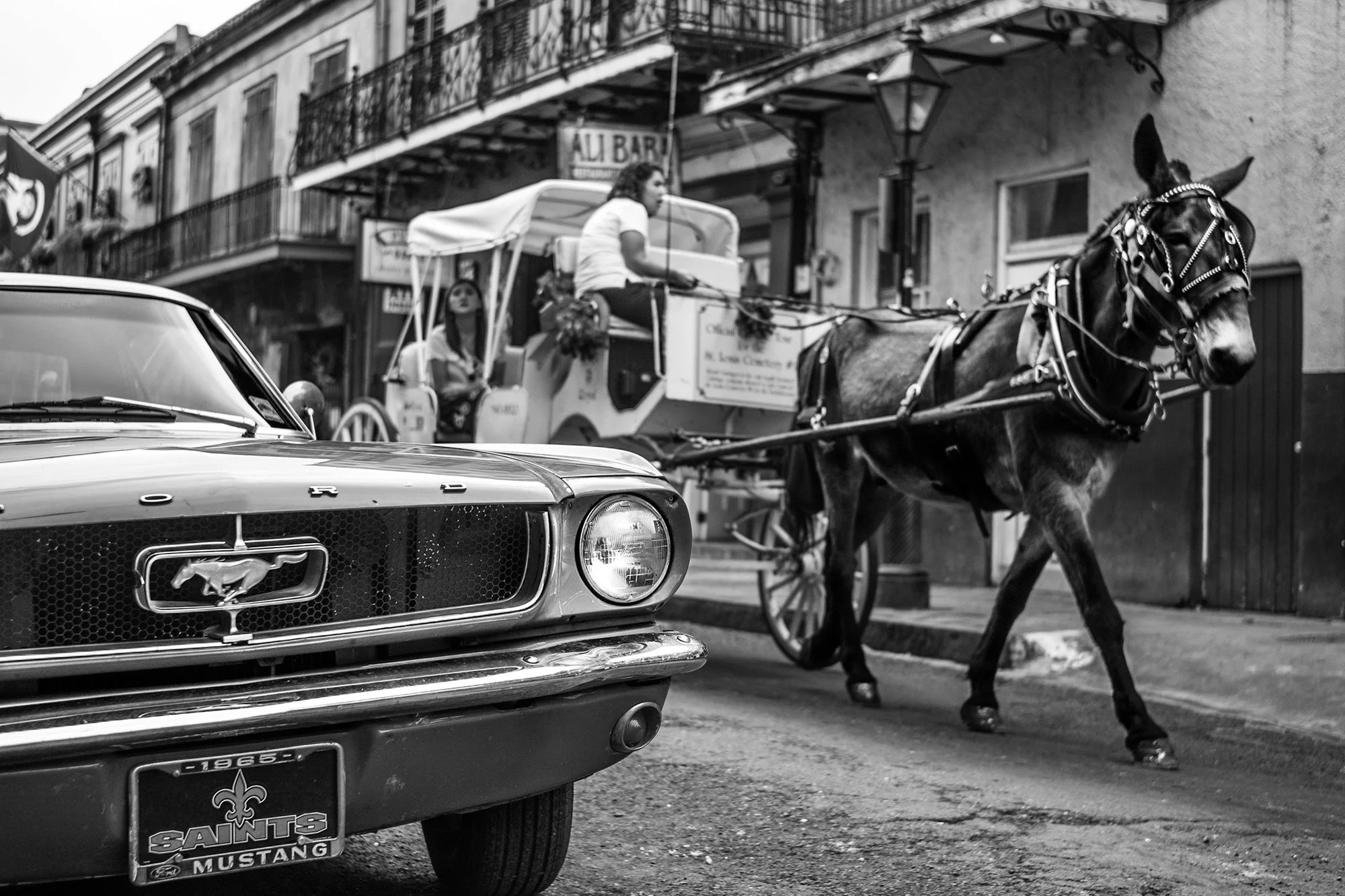 Mustang Car and Horse on St Peter, French Quarter, New Orleans, Louisiana, USA