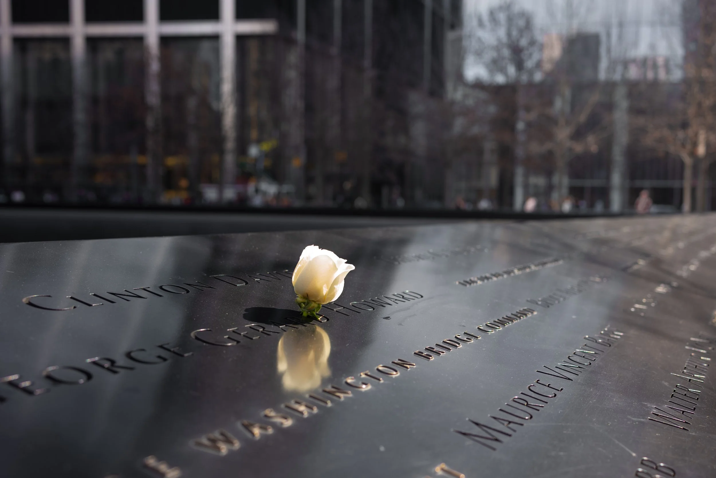 One of Mikey Flowers’ roses at the National September 11 Memorial.