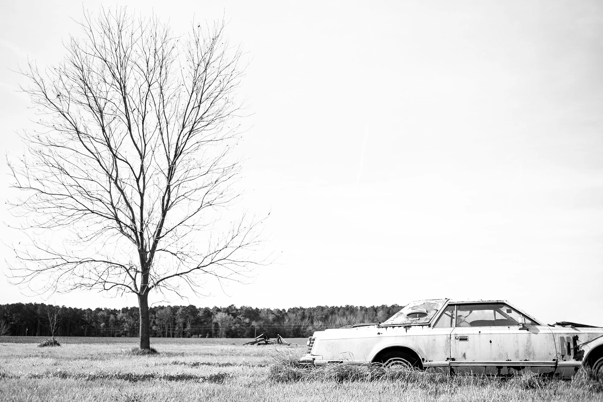 Lincoln Continental, Nelsonia, Virginia, USA