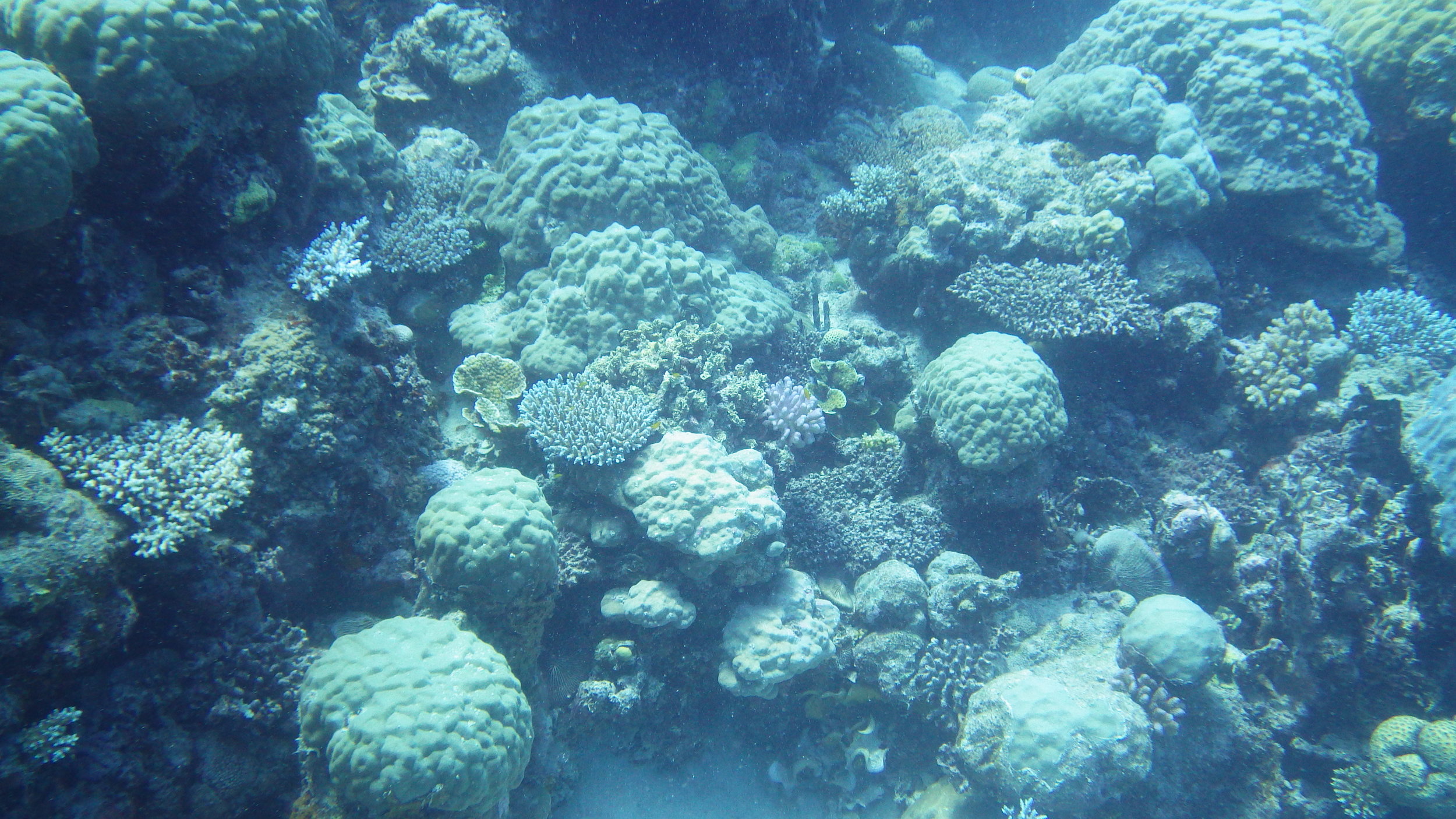 RIMG0207.JPG