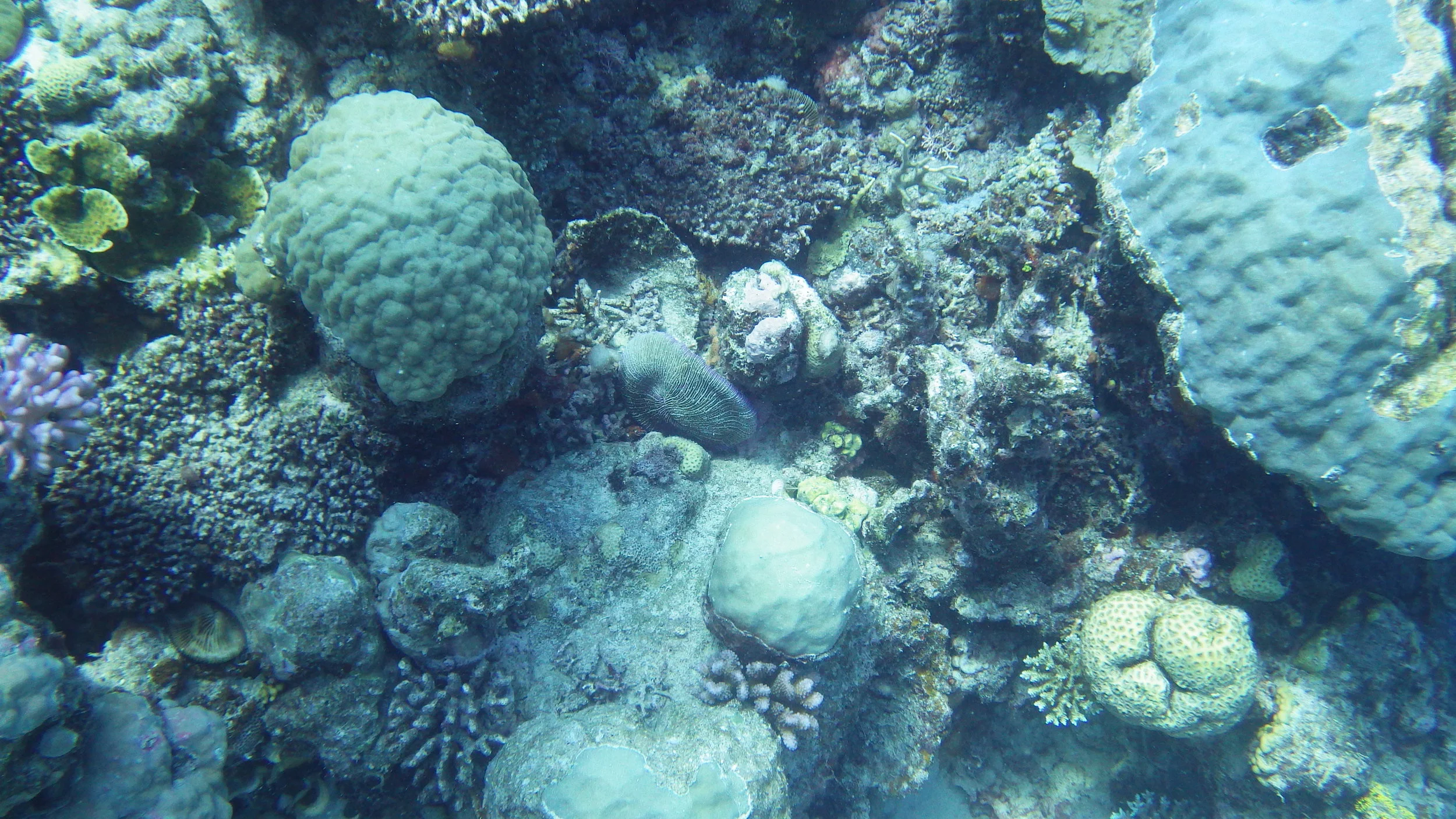 RIMG0208.JPG