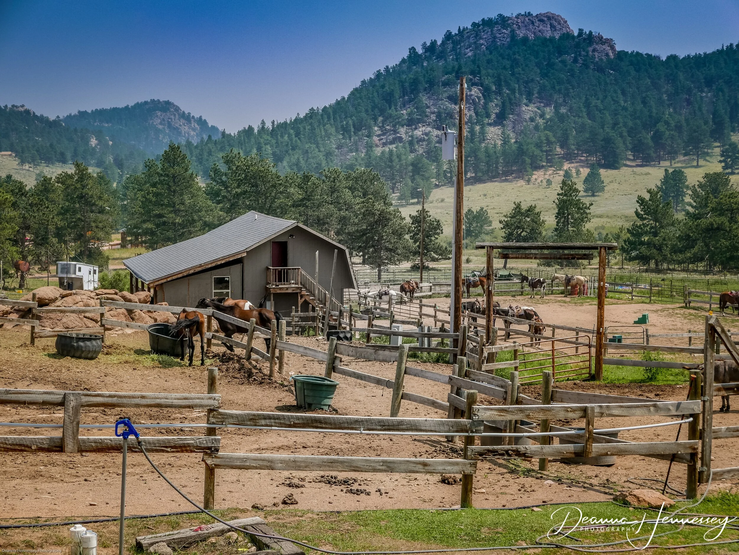 Sundance-5.jpg